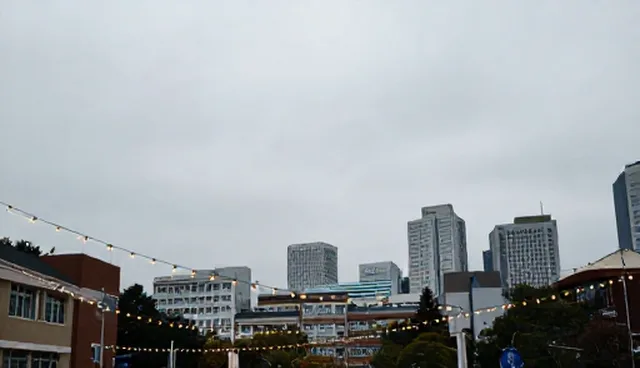 企业名录管理中的覆盖范围选择与维护建议